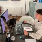 Elina hat tierische Unterstützung von Kater Mokka Team Anerkennung - Homeoffice Elina mit Mokka