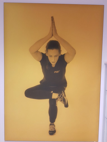 Standort - Würzburg-Grombühl - SPORTINA – Fitness für Frauen