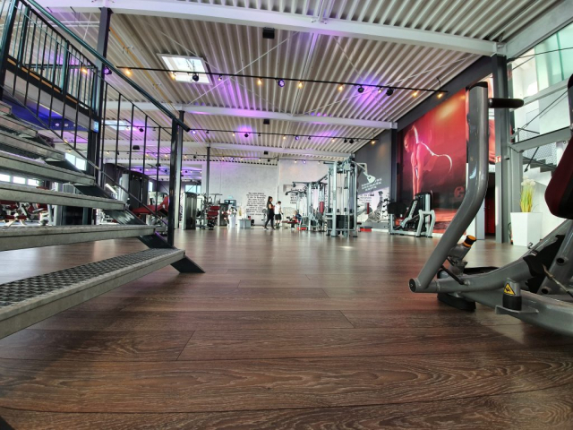Rehasport in Hechingen - MC Shape Rehasport in Hechingen - MC Shape